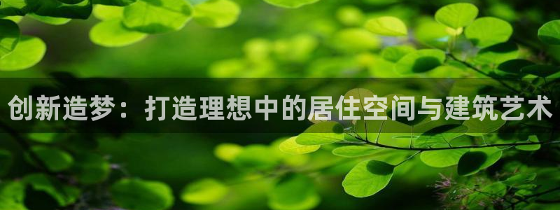 保定威九网络科技有限公司是干嘛的：创新造梦：打造理想中的居住空间与建筑艺术