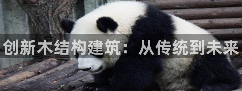 威九国际黑钱：创新木结构建筑：从传统到未来