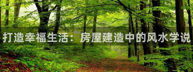 威九国际狂飚电影：打造幸福生活：房屋建造中的风水学说