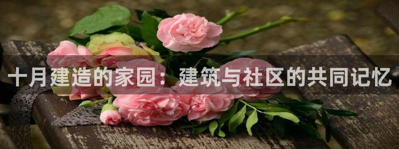 威九国际网站下载：十月建造的家园：建筑与社区的共同记忆