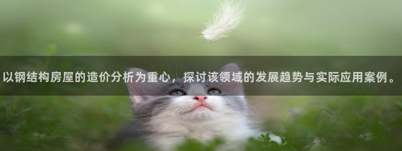 威九国际EVA0001：以钢结构房屋的造价分析为重心，探讨该领域的发展趋势与实际应用案例。