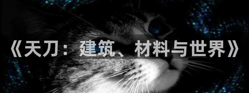 威九国际精：《天刀：建筑、材料与世界》