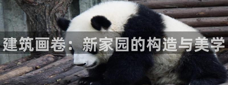 威九国际精选酒店地址：建筑画卷：新家园的构造与美学