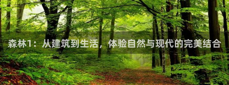 威九国际集团66m一6在线：森林1：从建筑到生活，体验自然与现代的完美结合