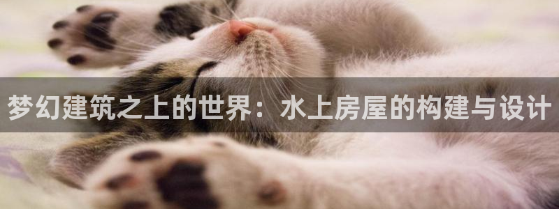 威九国际哪国的：梦幻建筑之上的世界：水上房屋的构建与设计
