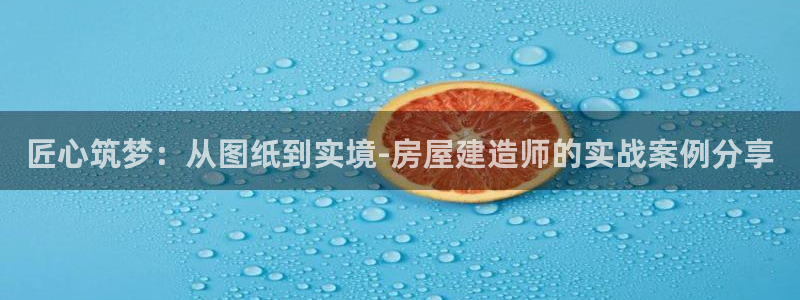 威九国际78m78免费：匠心筑梦：从图纸到实境-房屋建造师的实战案例分享