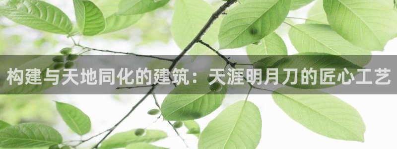威九国际app客服电话：构建与天地同化的建筑：天涯明月刀的匠心工艺