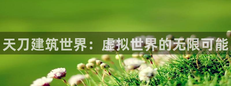 威九国际能提现吗安全吗：天刀建筑世界：虚拟世界的无限可能