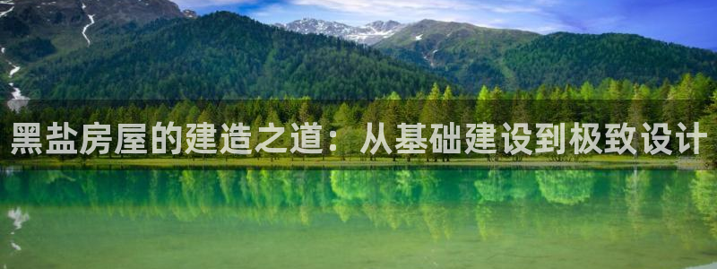 威九国际提款不出来：黑盐房屋的建造之道：从基础建设到极致设计