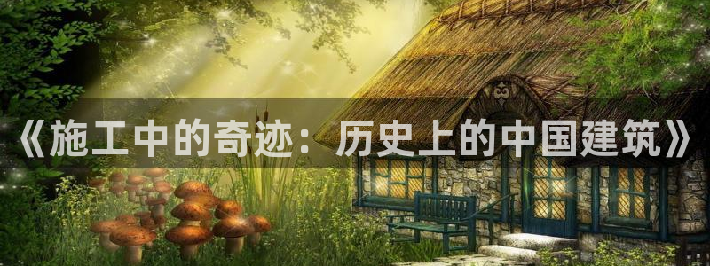 威九国际真人玩家在线对战：《施工中的奇迹：历史上的中国建筑》