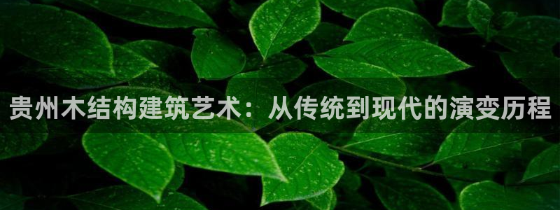 威九国际取款不会被骗吧是真的吗：贵州木结构建筑艺术：从传统到现代的演变历程