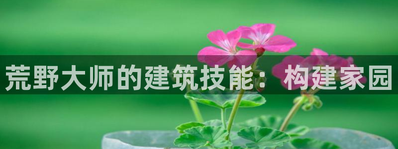 威九国际app客服电话：荒野大师的建筑技能：构建家园