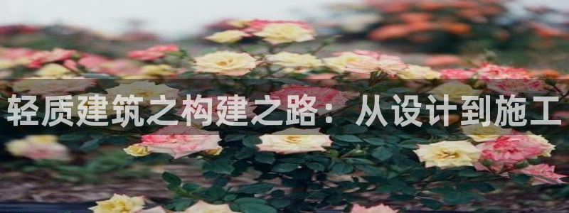 威九国际ppt免费下载网址：轻质建筑之构建之路：从设计到施工