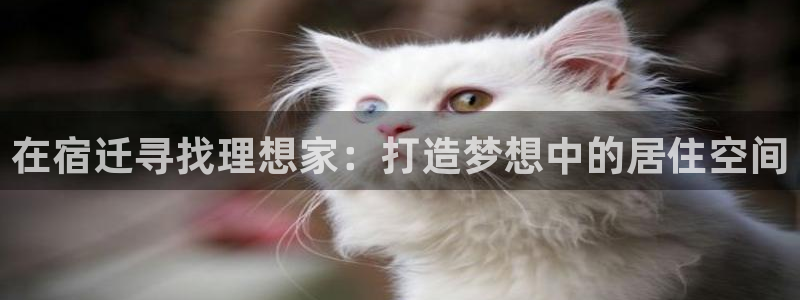 威九国际网站客服电话多少号码：在宿迁寻找理想家：打造梦想中的居住空间