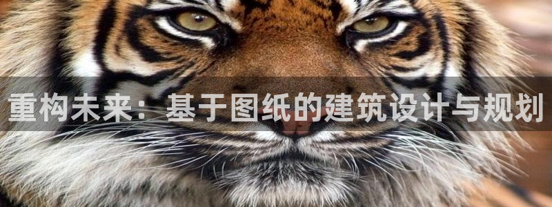 威九国际78m-MBA智库百科：重构未来：基于图纸的建筑设计与规划