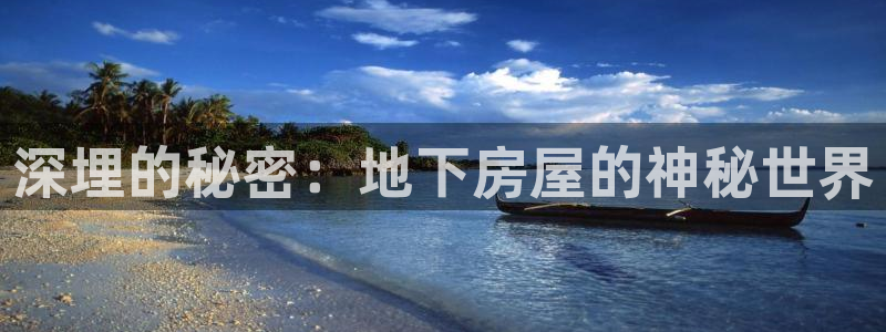 威九国际动漫：深埋的秘密：地下房屋的神秘世界