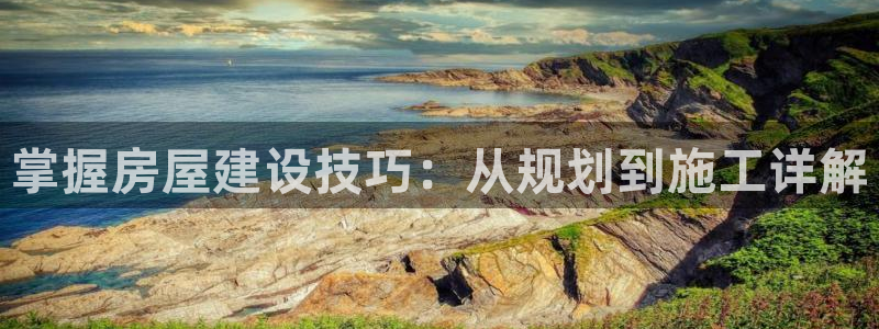 威九国际网站进入产品分类：掌握房屋建设技巧：从规划到施工详解