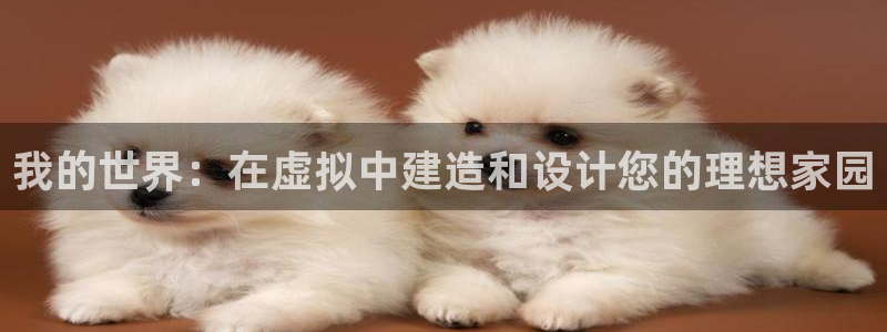 威九国际免费游戏：我的世界：在虚拟中建造和设计您的理想家园