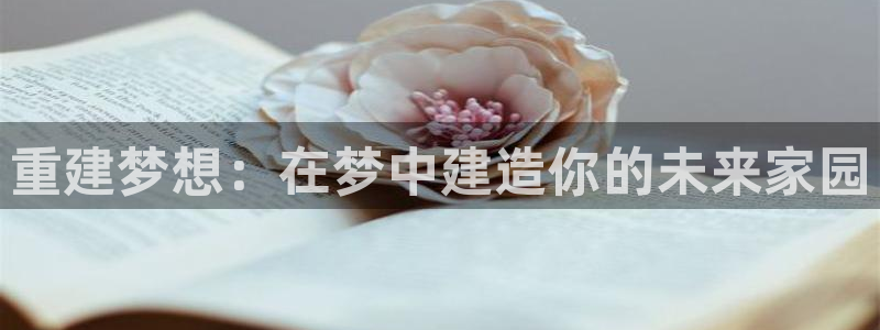 威九国际网站入口地址查询：重建梦想：在梦中建造你的未来家园