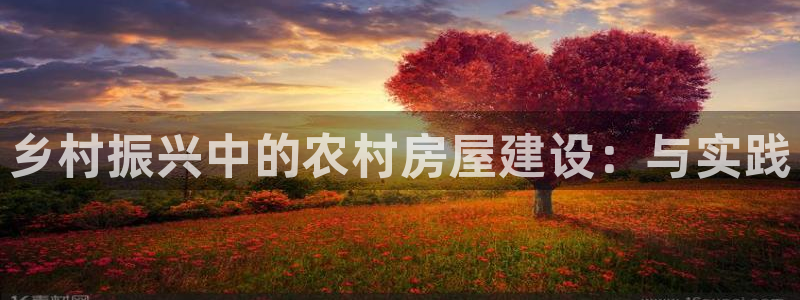 威九国际取款不会被骗吧：乡村振兴中的农村房屋建设：与实践
