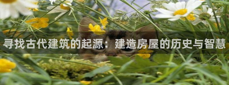 威九国际犯法吗：寻找古代建筑的起源：建造房屋的历史与智慧
