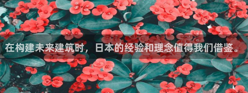 威九国际黑钱：在构建未来建筑时，日本的经验和理念值得我们借鉴。