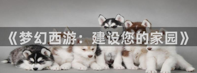 威九国际66：《梦幻西游：建设您的家园》
