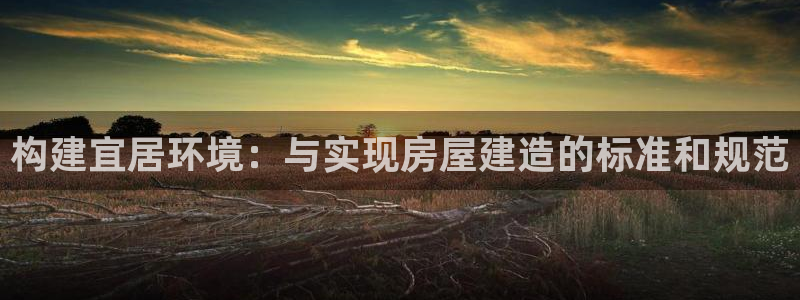 威九国际的网站入口在哪里：构建宜居环境：与实现房屋建造的标准和规范