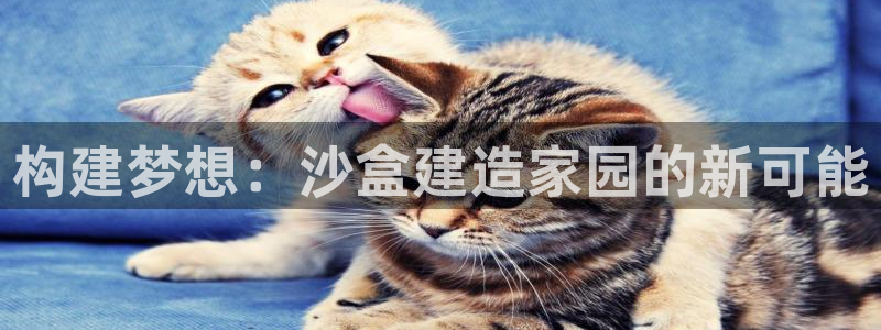 威九国际v18：构建梦想：沙盒建造家园的新可能