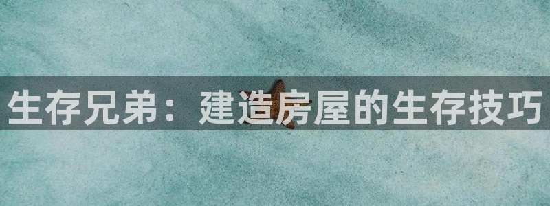 威九国际v96242cc官网版：生存兄弟：建造房屋的生存技巧