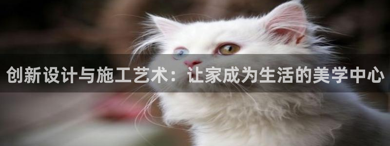 威九国际app大全下载安装：创新设计与施工艺术：让家成为生活的美学中心