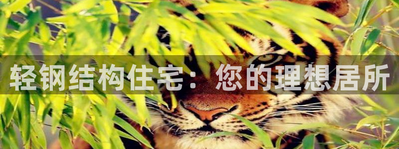 66m成长模式视频威九国际视频：轻钢结构住宅：您的理想居所