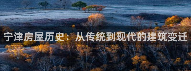 威九国际清砖码：宁津房屋历史：从传统到现代的建筑变迁