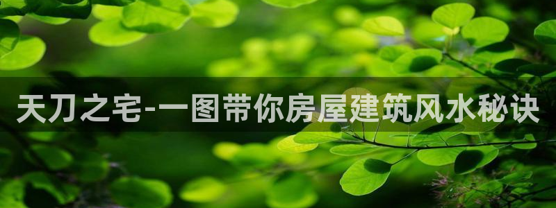 威九国际软件公司简介：天刀之宅-一图带你房屋建筑风水秘诀