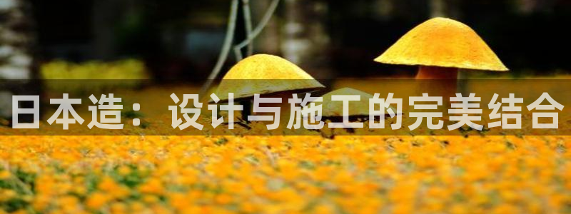威九国际小广告：日本造：设计与施工的完美结合