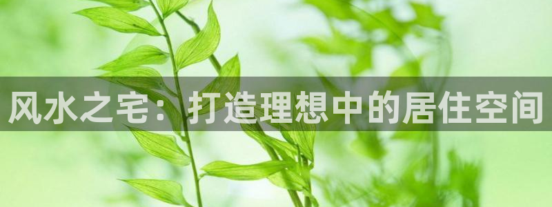 威九国际78mb下：风水之宅：打造理想中的居住空间